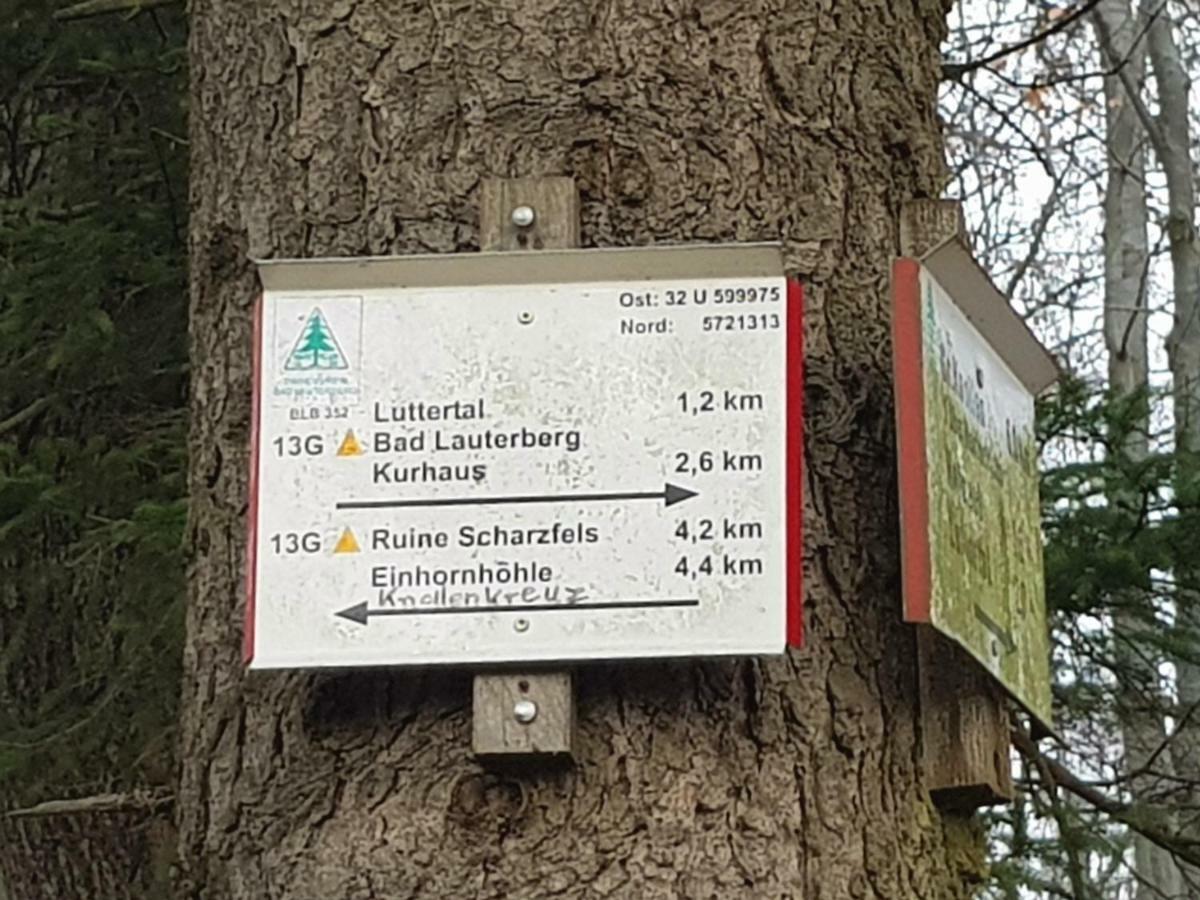 Ferienwohnung "Hagebutze" Mit Sauna Und Schwimmbad Bad Lauterberg Eksteriør billede