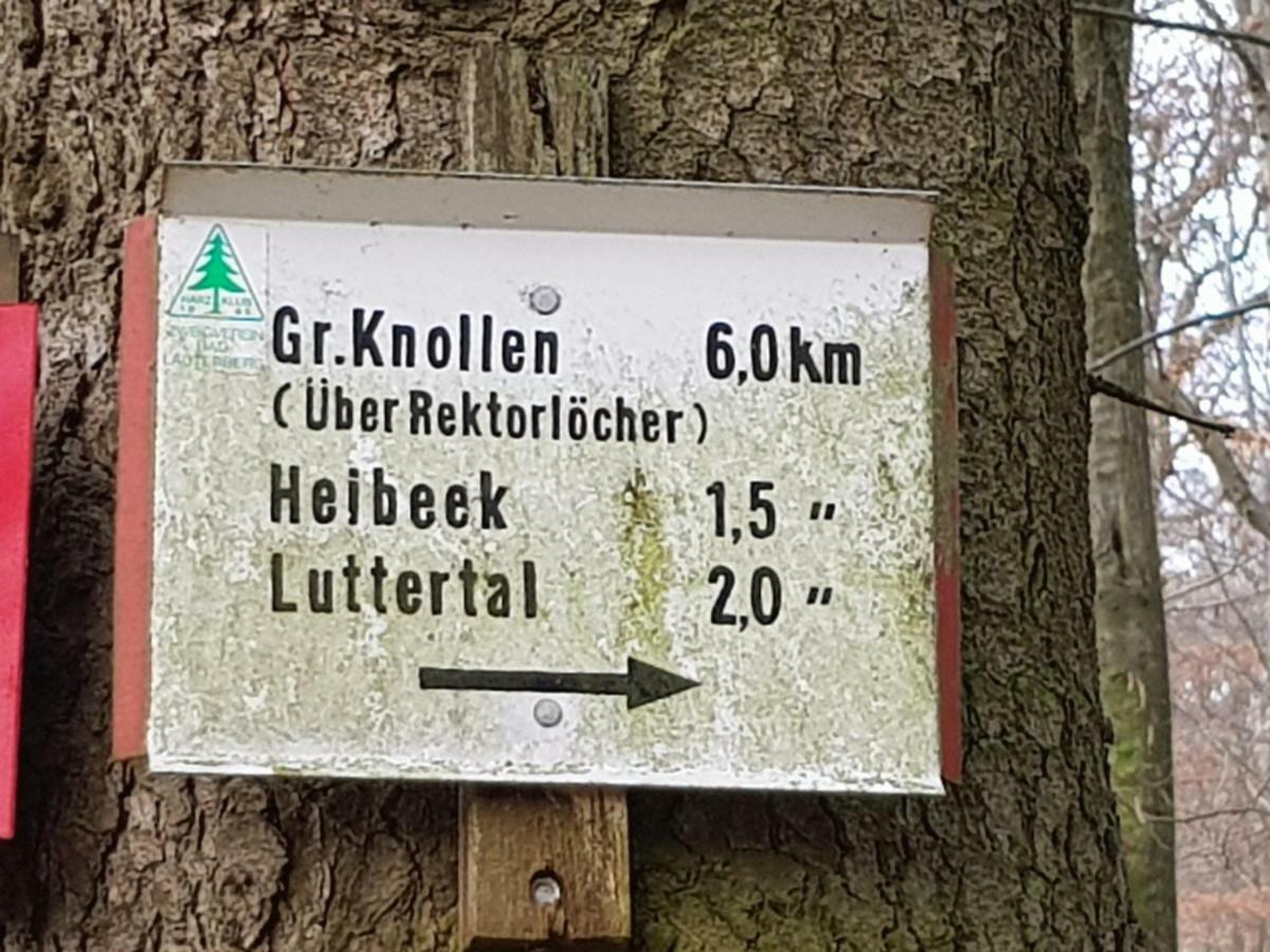 Ferienwohnung "Hagebutze" Mit Sauna Und Schwimmbad Bad Lauterberg Eksteriør billede